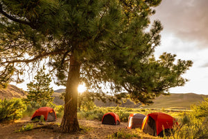 Lower Deschutes River | Guided Float Trip - Multi - Day