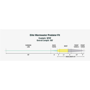 Rio Elite Warmwater Predator Fly Line