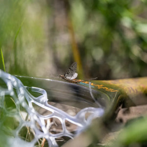 Fishpond Nomad Canyon Net