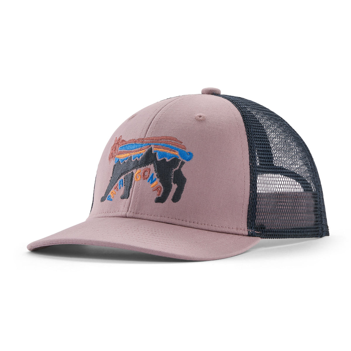 Patagonia Kid's Trucker Hat