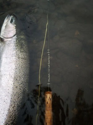 Beulah Guide Series II Fly Rod