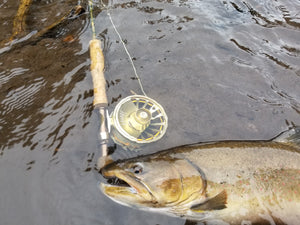 Whether the predator resides in the salt or freshwater, the Redington Grande is up to the task. This Metolius Bull Trout was easily tamed by the lockdown drag on the Grande.