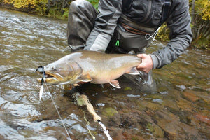 Orvis Helios 3D 7wt.  and the legendary Dolly Llama bested this fat Metolius River Bull Trout. The 3D is an outstanding streamer rod and can deliver the heavy junk flies effortlessly.  
