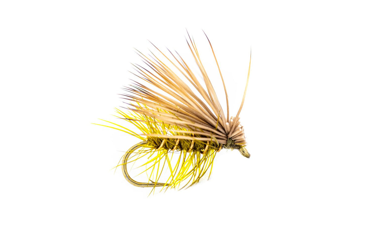 Montana Fly Company Elk Hair Caddis -Olive (3-Pack)