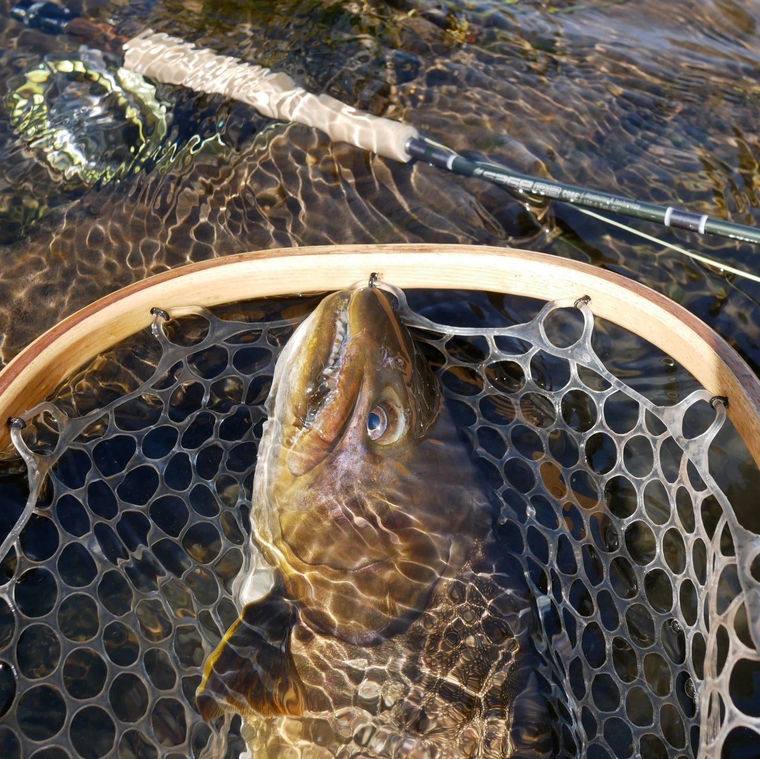 Sage Trout R8 First Impressions: Sage R8 Core 9' 5 weight - Fin & Fire Fly Shop