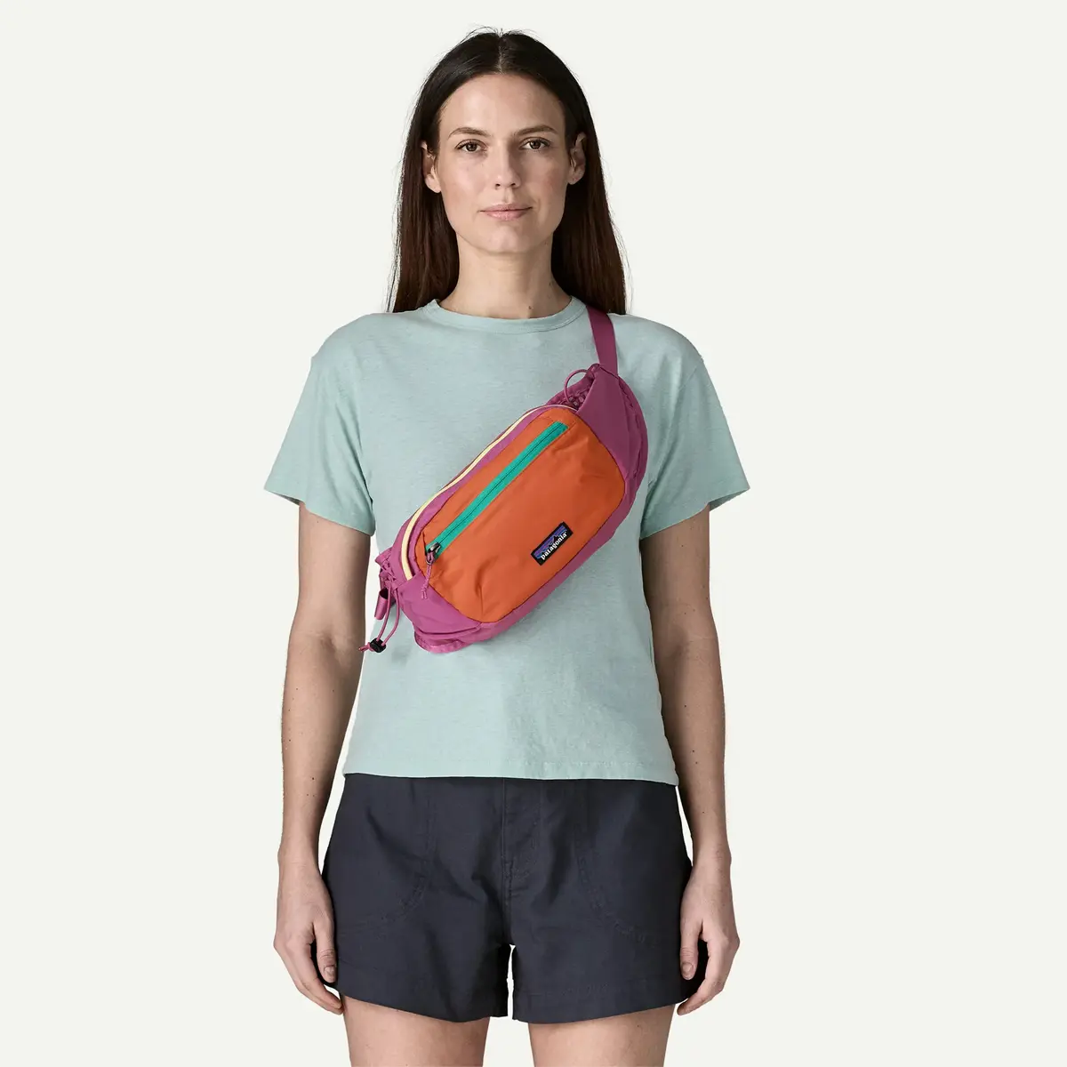 Patagonia Terravia Hip Pack