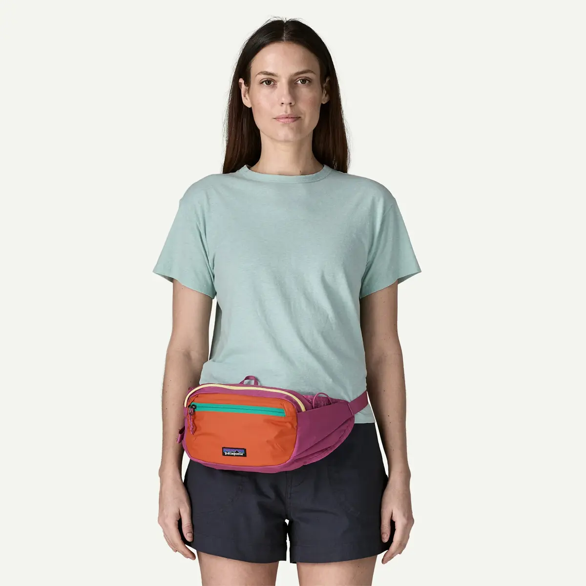 Patagonia Terravia Hip Pack