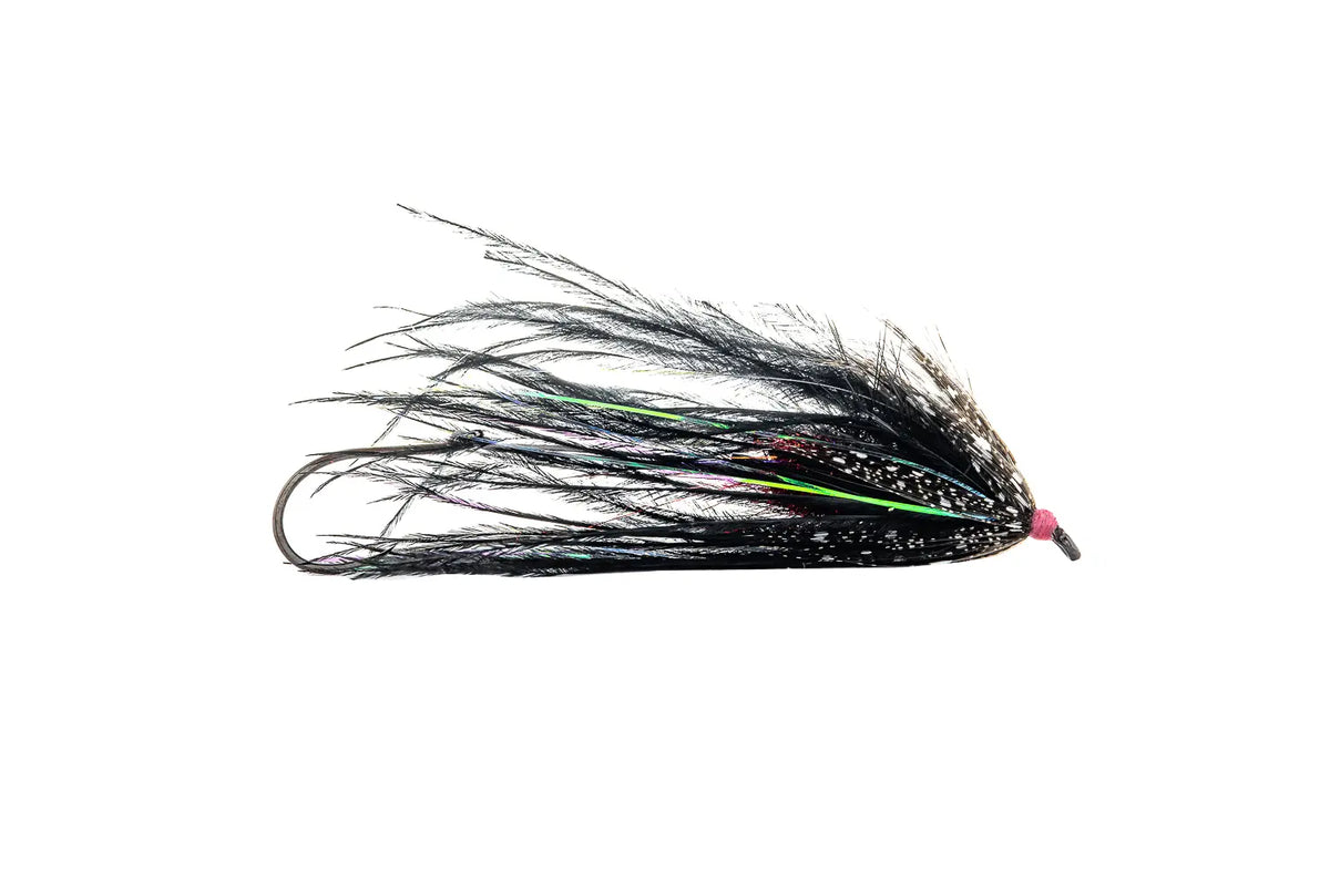 Aqua Flies Fish Taco - Black (3-Pack)