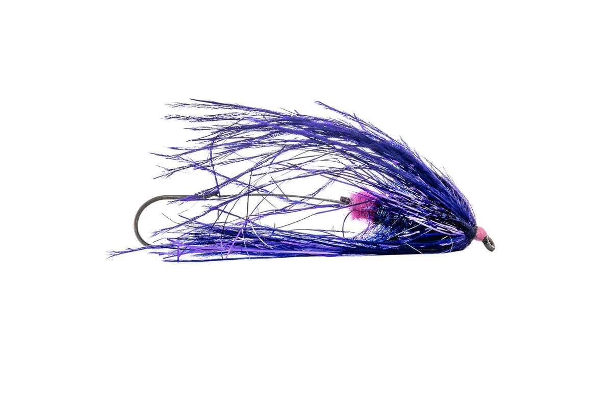 Aqua Flies Fish Taco - Purple (3-Pack)
