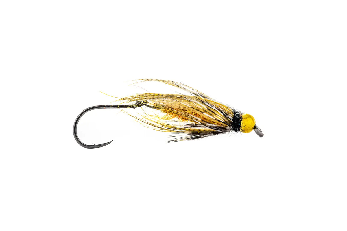 Aqua Flies BH Perpetrator - October Caddis (3-Pack)