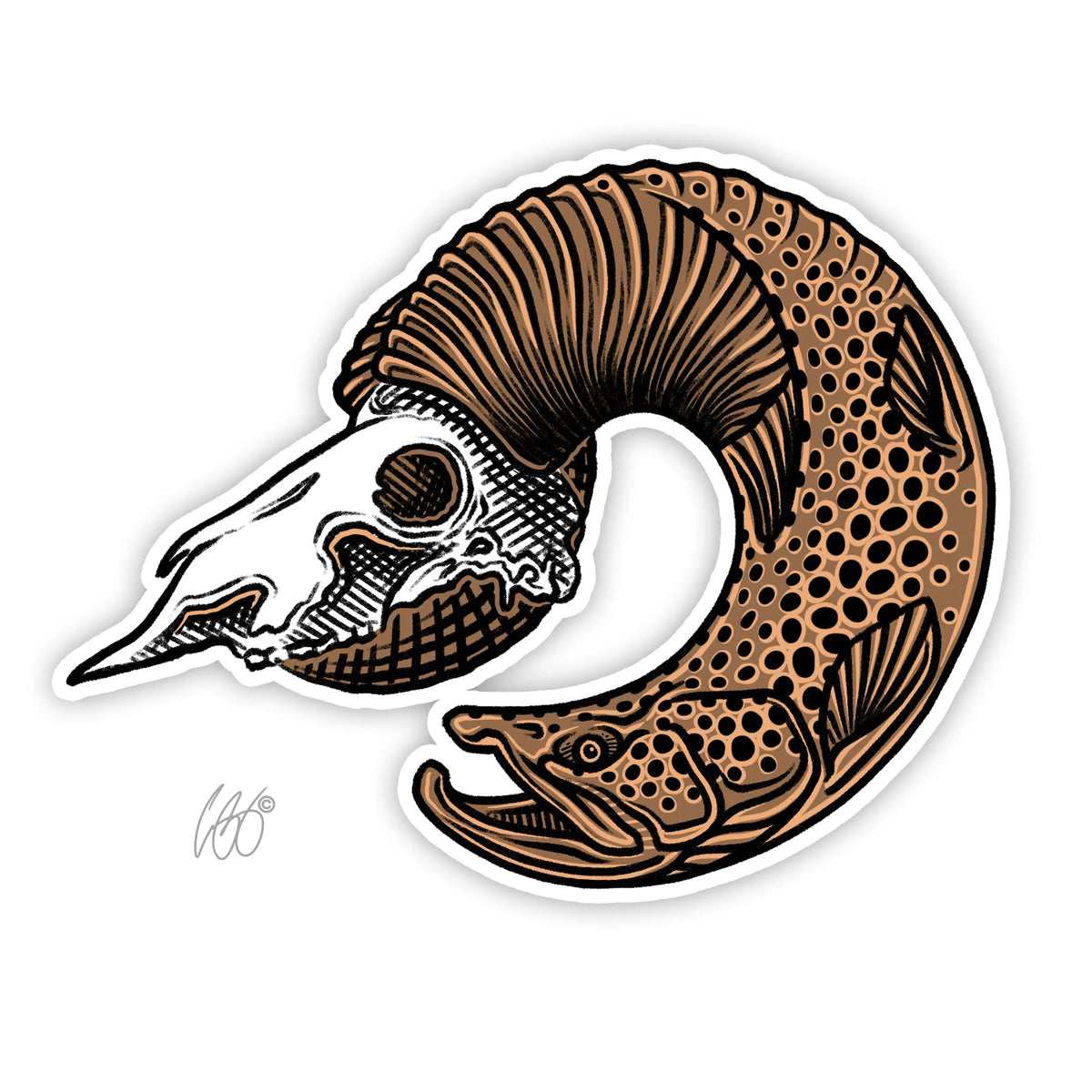 Casey Underwood Bighorn Brown Decal