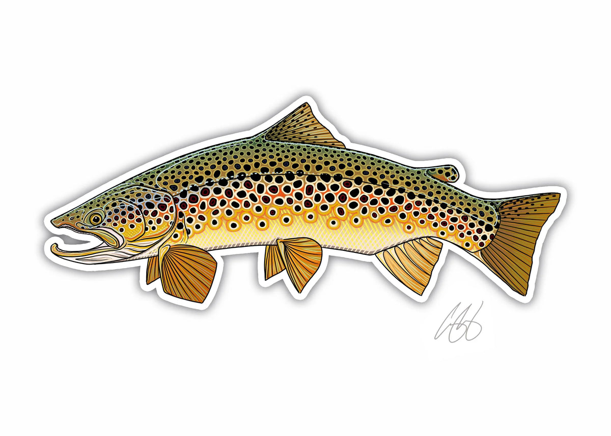 Casey Underwood Brown Trout Decal