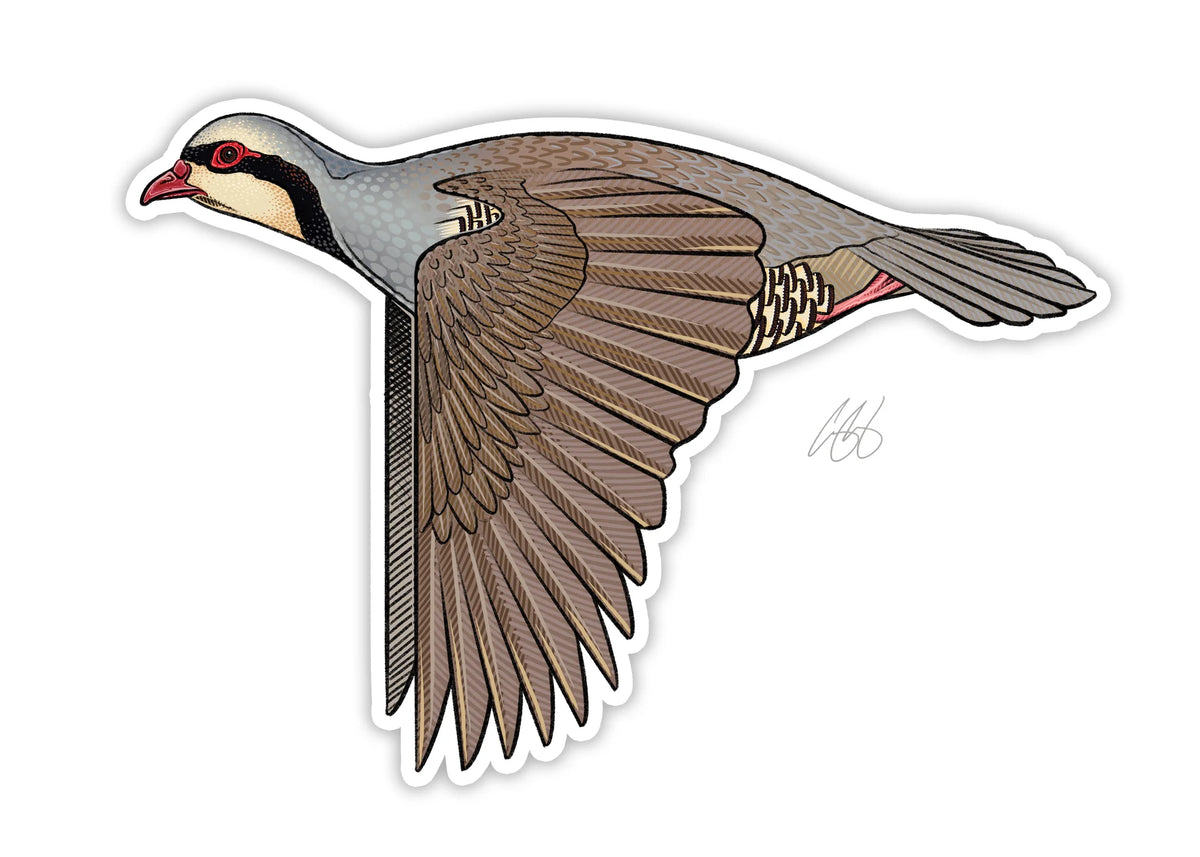 Casey Underwood Chukar Decal