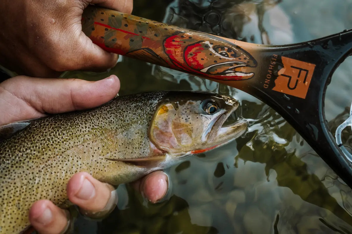 Fishpond Nomad Canyon - Colorado Cutty Net