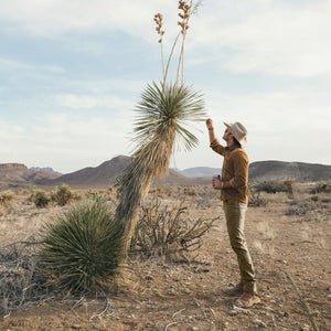 Howler Brothers Frontside Tech Pants - 30" Inseam