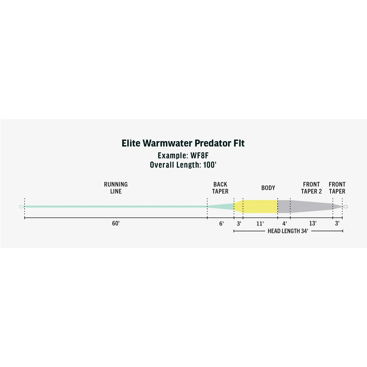 Rio Elite Warmwater Predator Fly Line