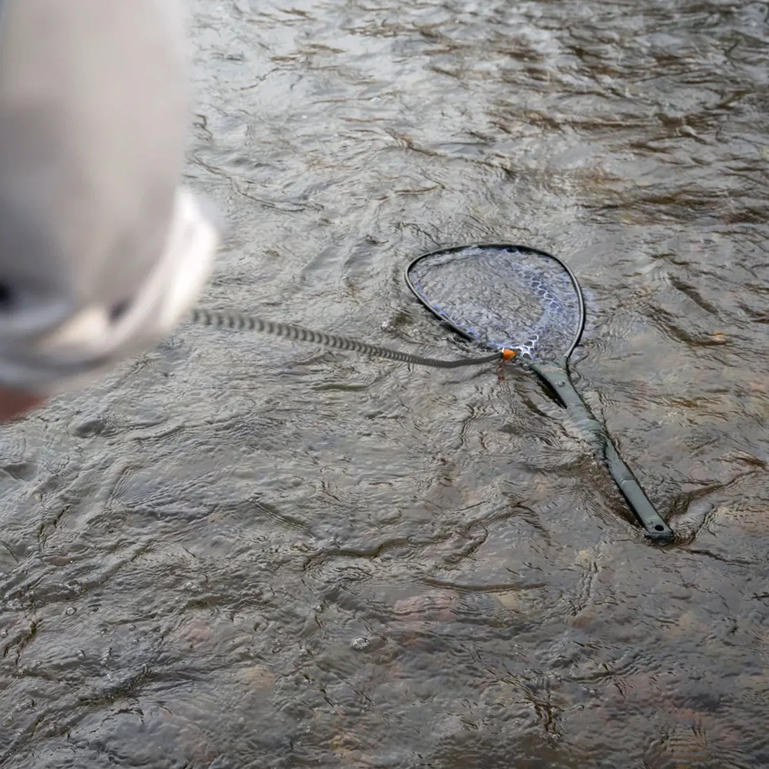 Fishpond Confluence 2.0