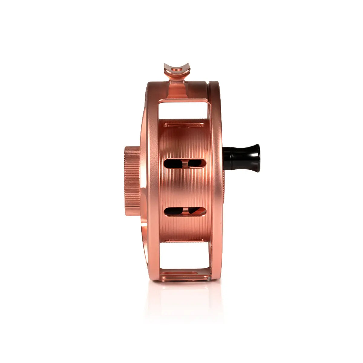 Hatch Iconic Plus - Limited Edition - Penny Dropper |  Large Arbor