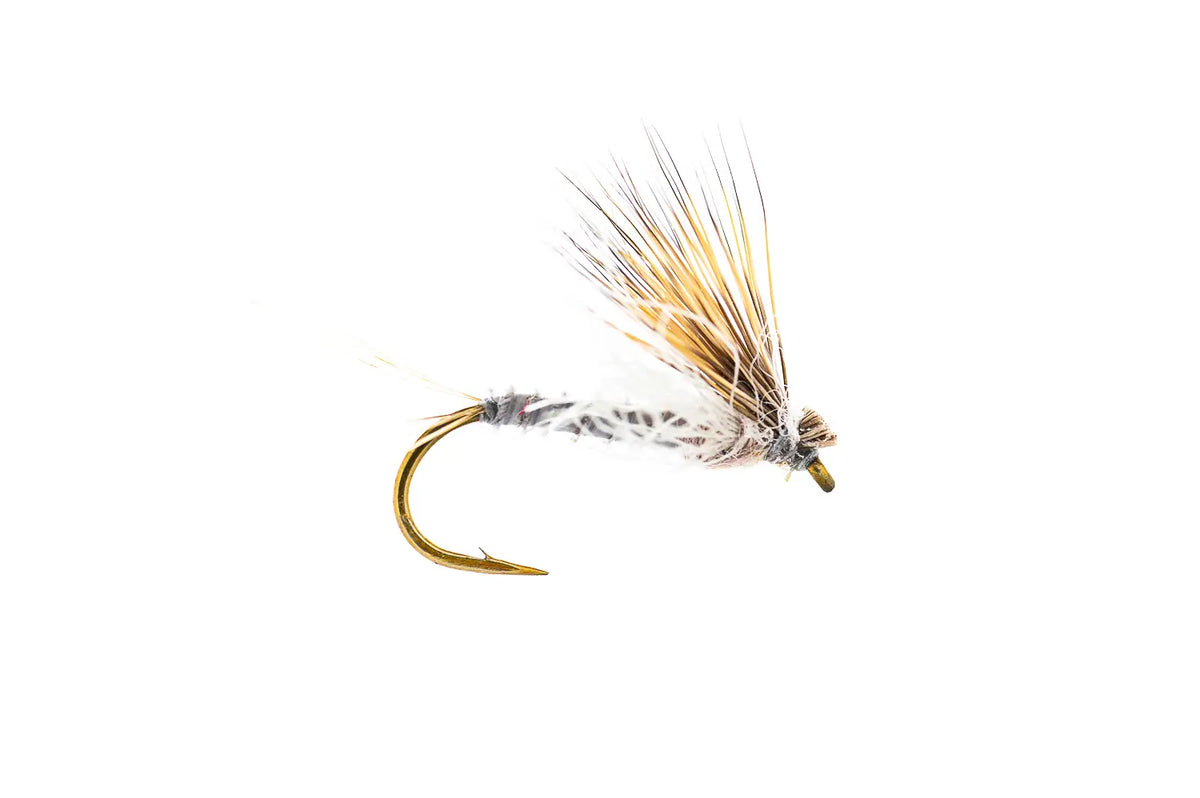 Montana Fly Company Galloup's Found Link- Callibaetis - Callibaetis (3-Pack)