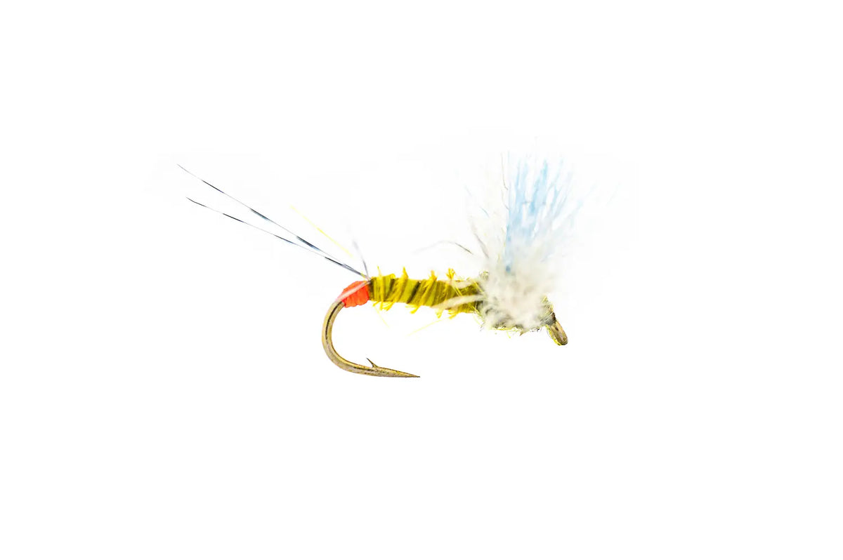 Montana Fly Company Hot Spot Comparadun BWO - BWO (3-Pack)