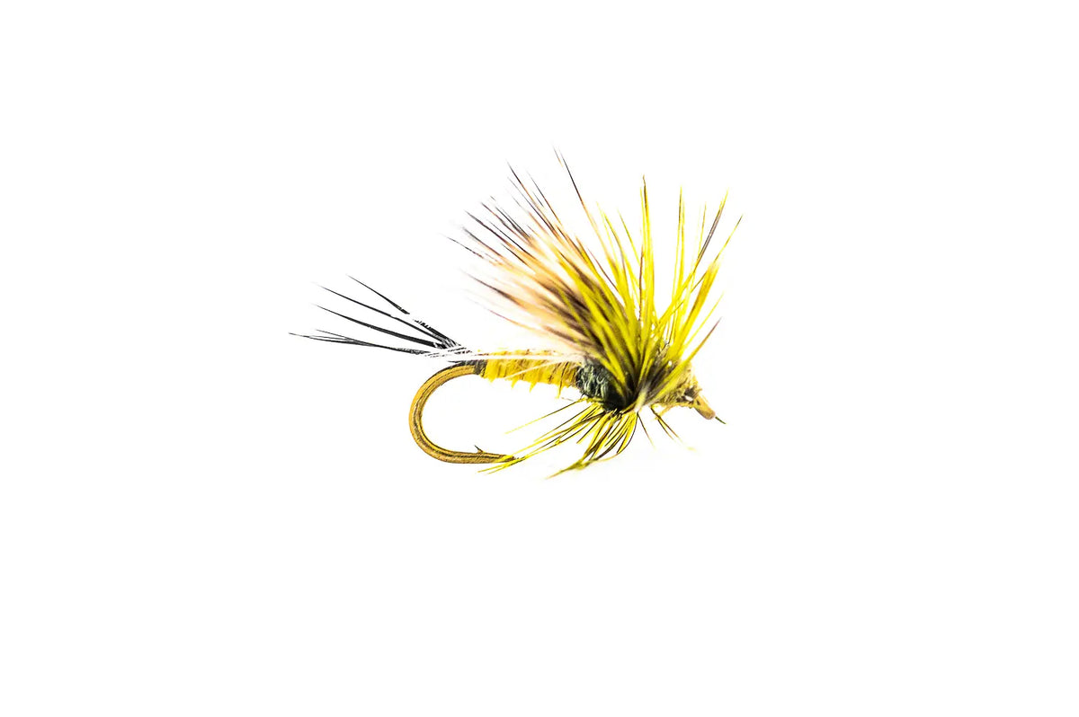Montana Fly Company Jake's Hatchback-BWO - BWO (3-Pack)