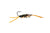 Montana Fly Company Micro Flexi Girdle Bug - Peacock (3-Pack)