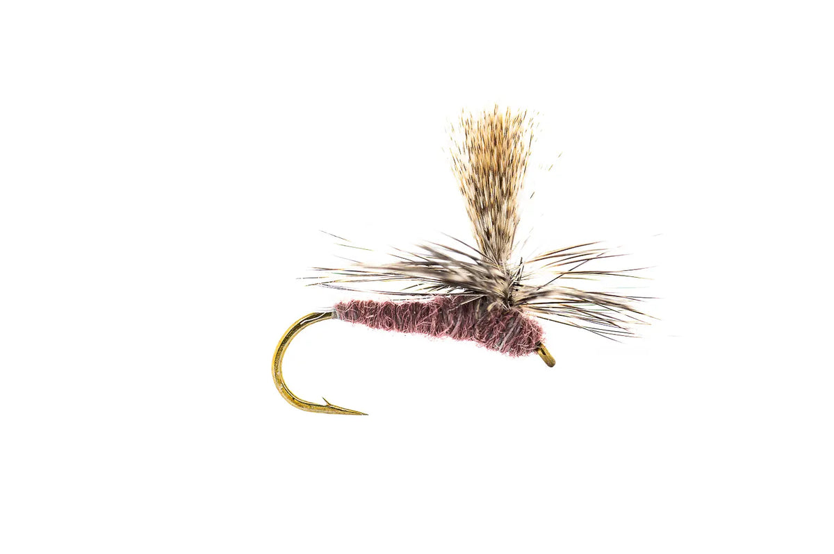 Montana Fly Company Parachute Callibaetis - Callibaetis (3-Pack)