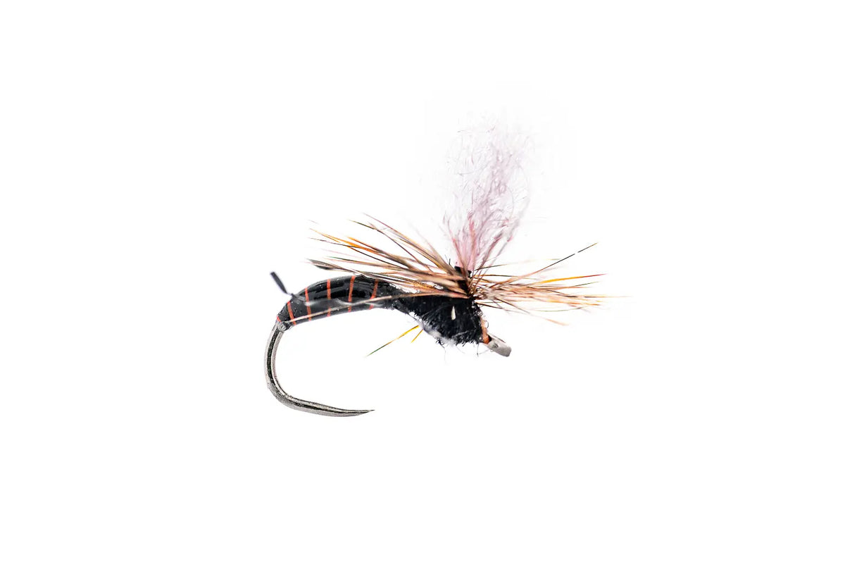 Montana Fly Company Saliga's Epoxy Ant - Black (3-Pack)