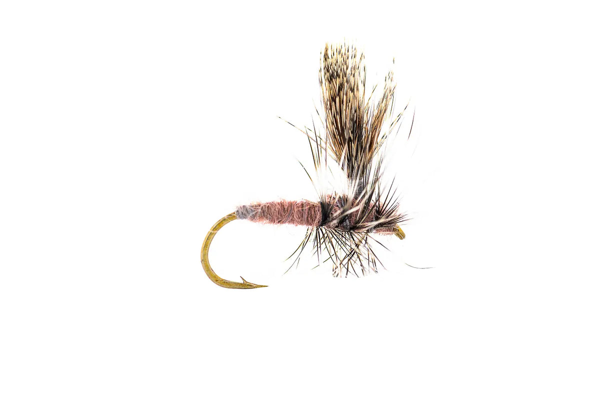 Montana Fly Company Thorax Callibaetis - Callibaetis (3-Pack)