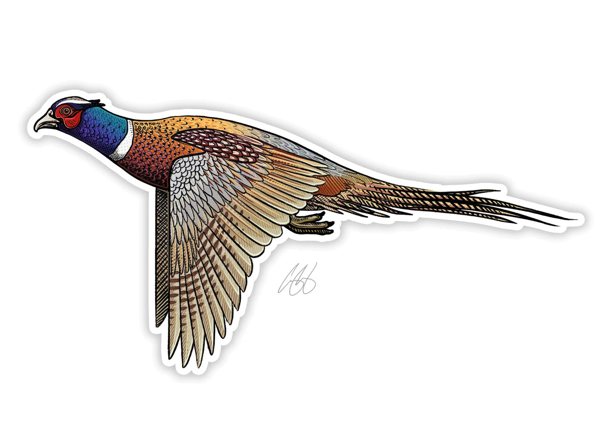 Casey Underwood Ringneck Pheasant Decal