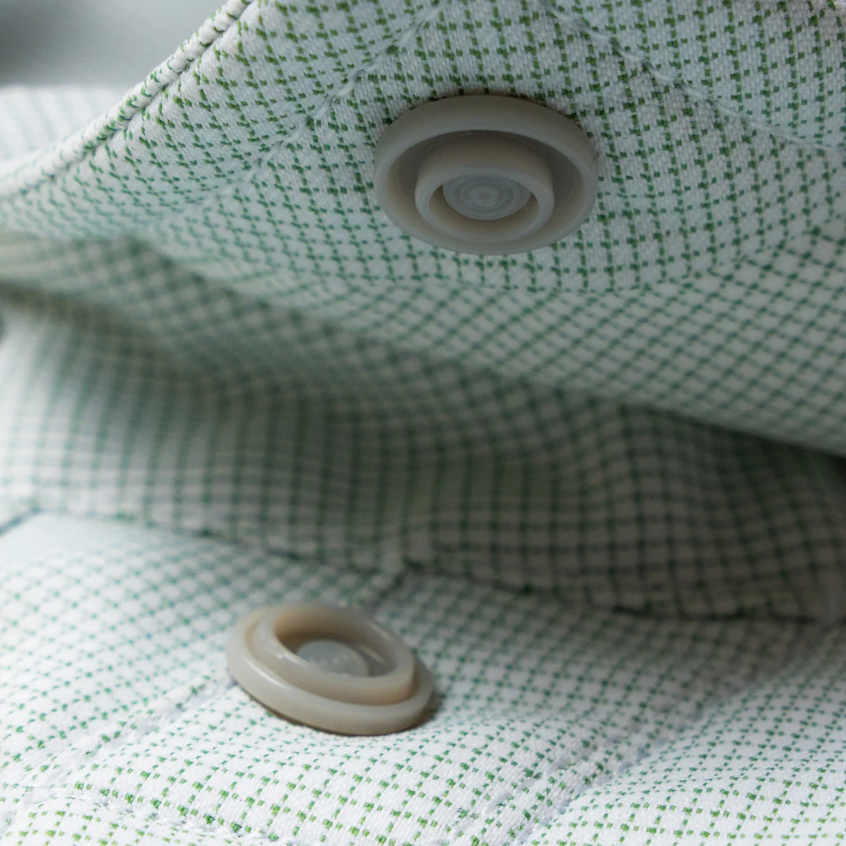 Poncho M's The Evergreen