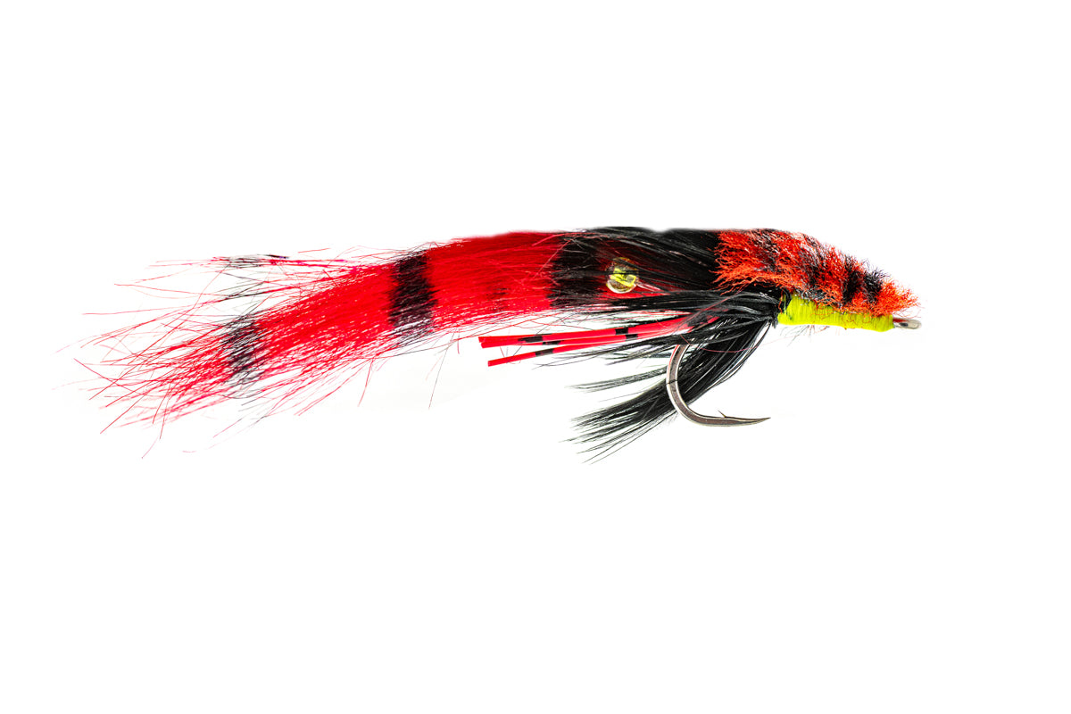 Rainy's Colby's Corona Toad - Red (3-Pack)
