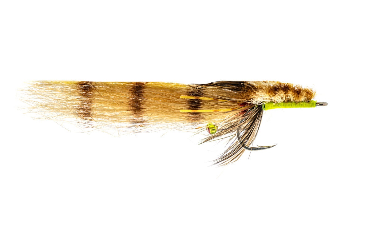 Rainy's Colby's Corona Toad - Tan (3-Pack)