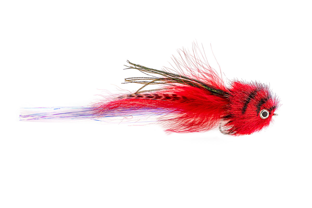 Rainy's CF Granato's El Chupacabra - Red/White (3-Pack)