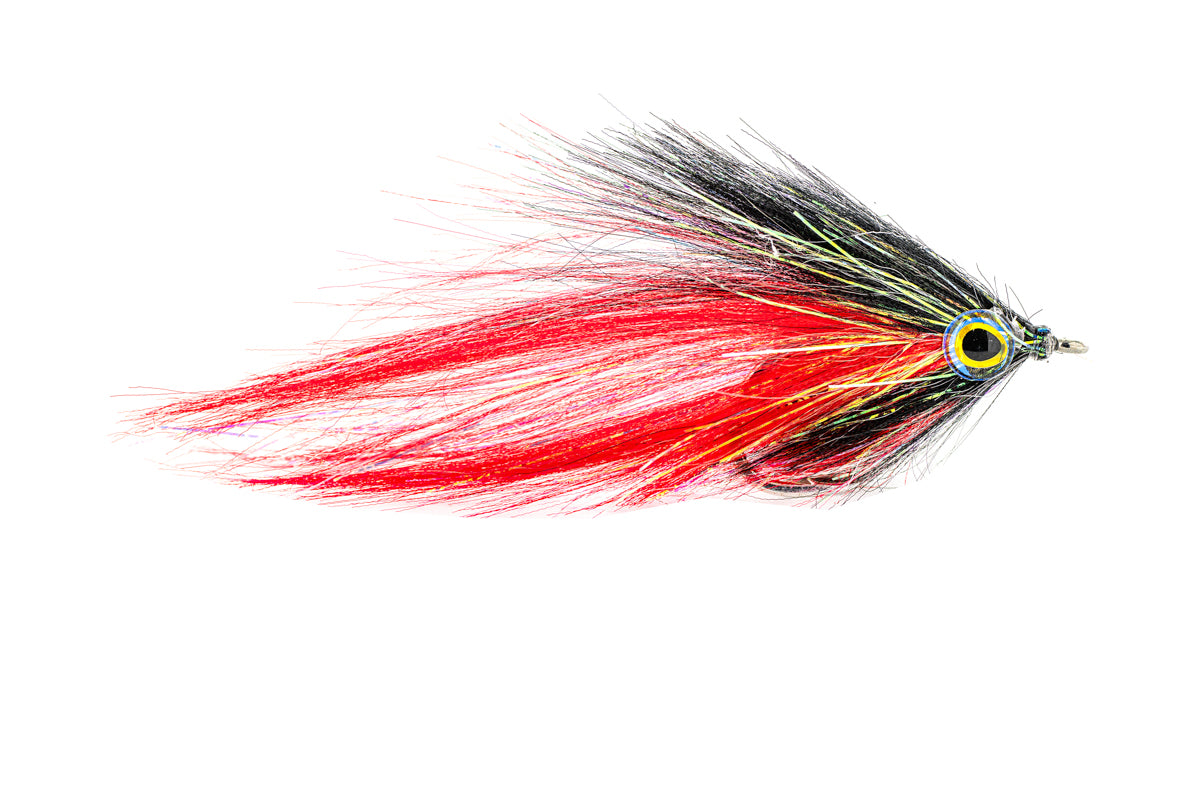 Rainy's Hamilton's Bush Pig - Black/Red (3-Pack)