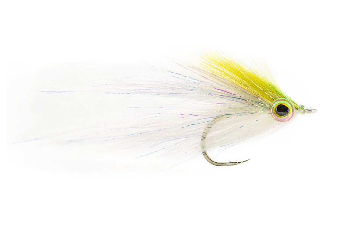 Rainy's Hamilton's Bush Pig - Olive (3-Pack)