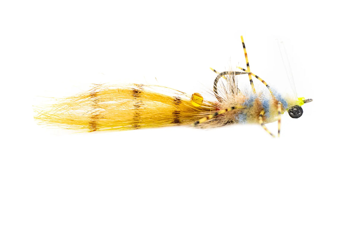 Rainy's Colby's Corona Crab - Tan (3-Pack)