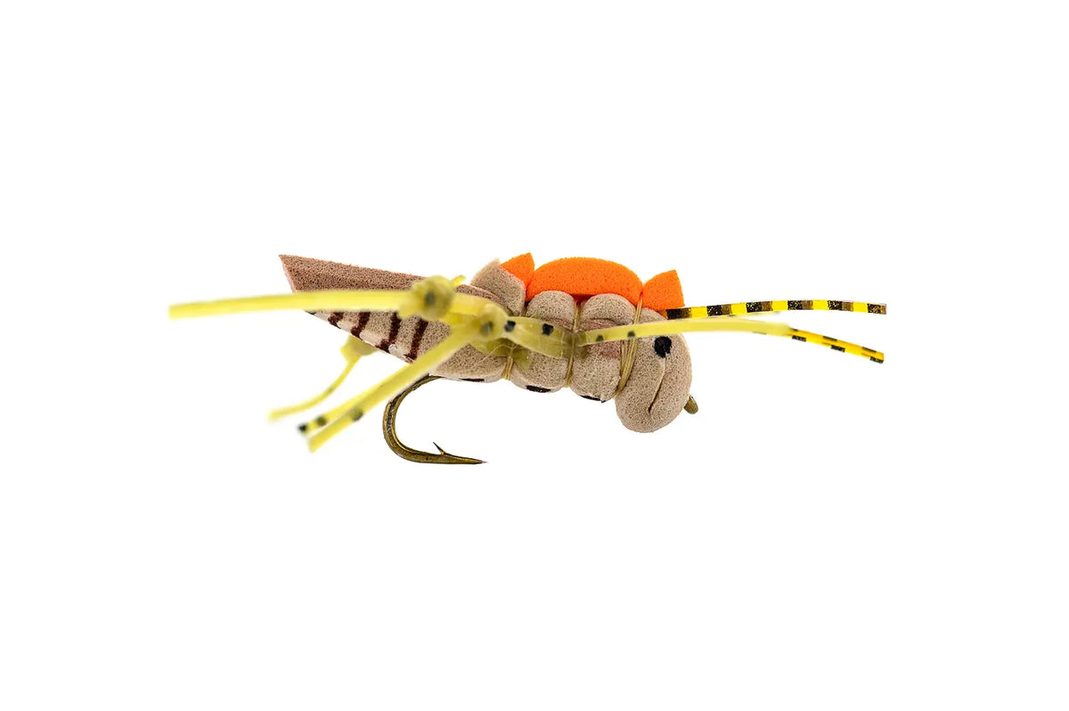 Rio's Juicy Hopper - Tan (3-Pack)