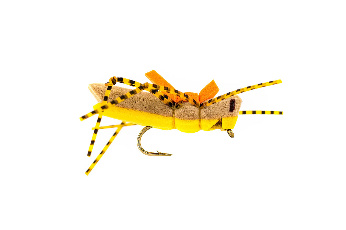 Rio's Morrish Hopper - Golden (3-Pack)