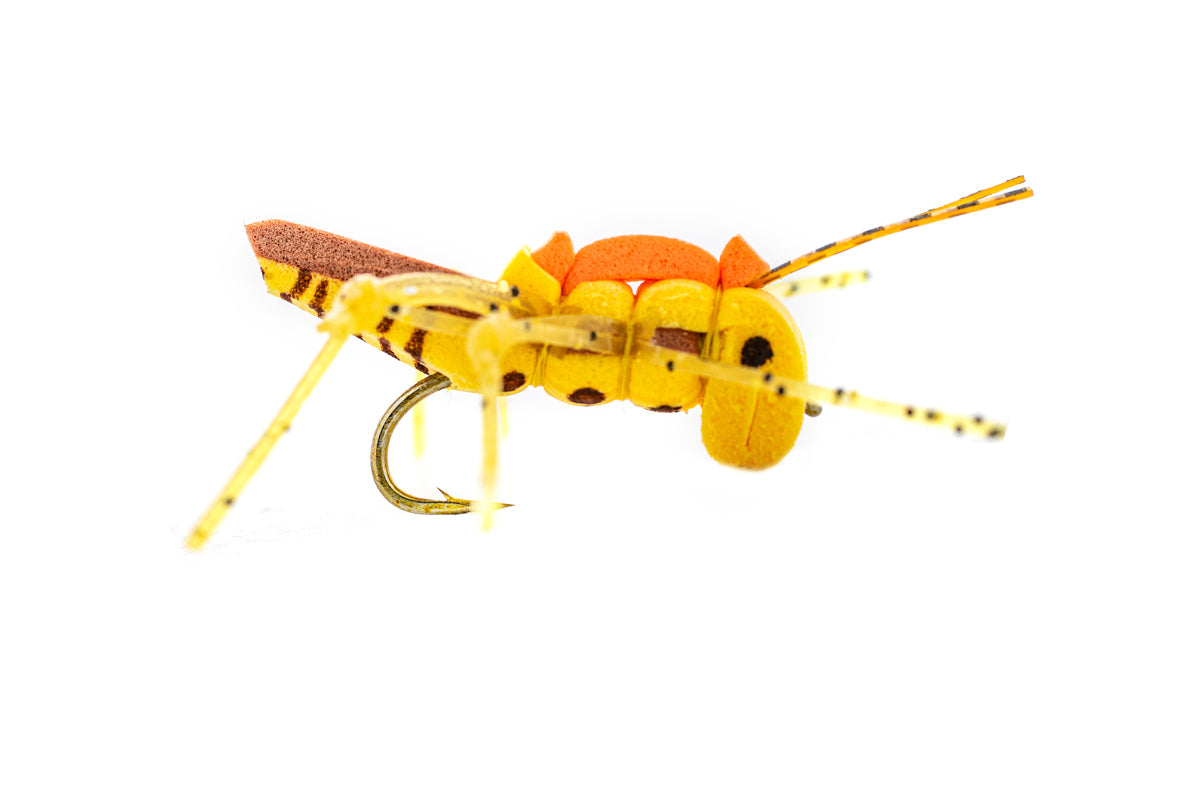 Rio's Juicy Hopper - Gold (3-Pack)