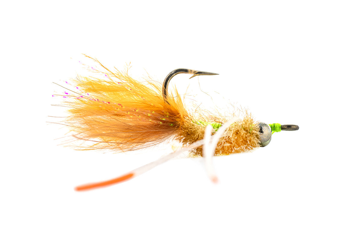 Solitude Permit Crab (3-Pack)