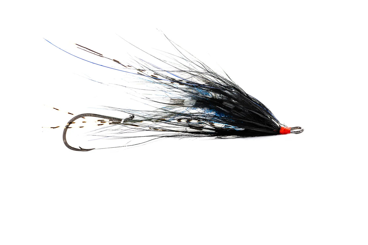 Solitude Hoh Bo Spey - Black/Blue (3-Pack)