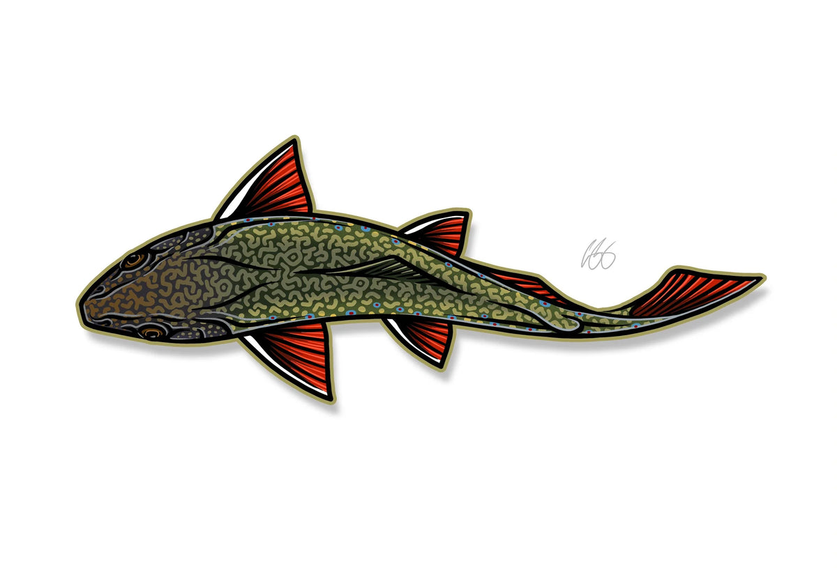 Casey Underwood Swimming - Brook Trout Decal