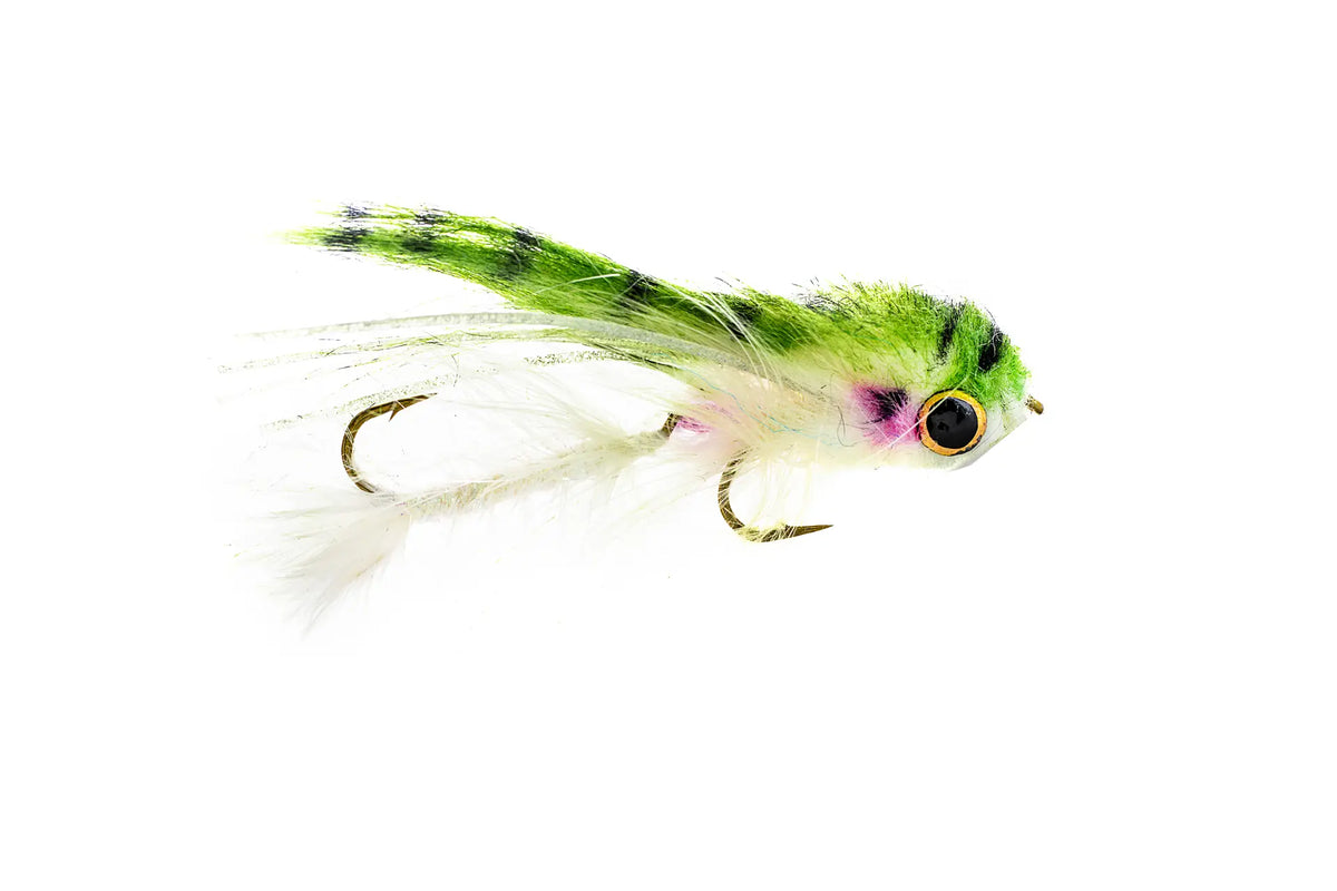 Umpqua Baby Gonga - Rainbow  (3-Pack)