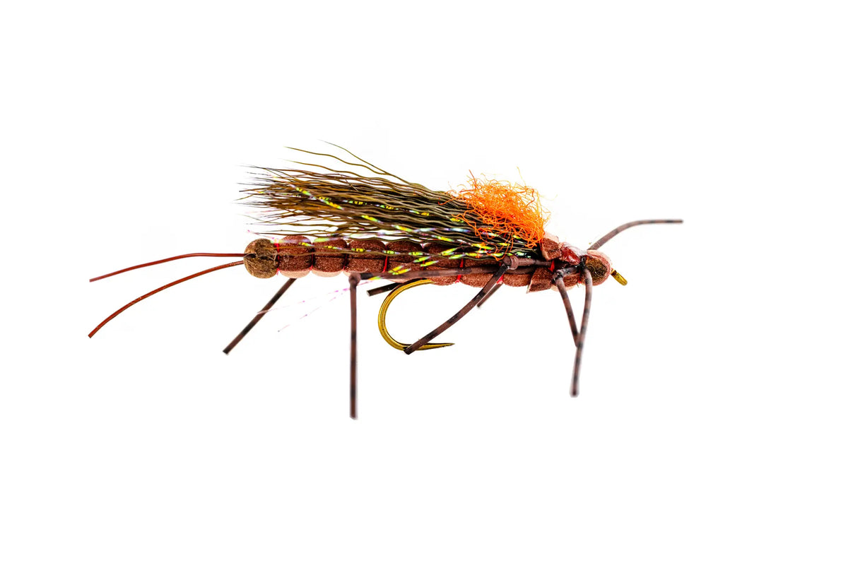 Umpqua Fluttering Stone, Morrish's (3-Pack)