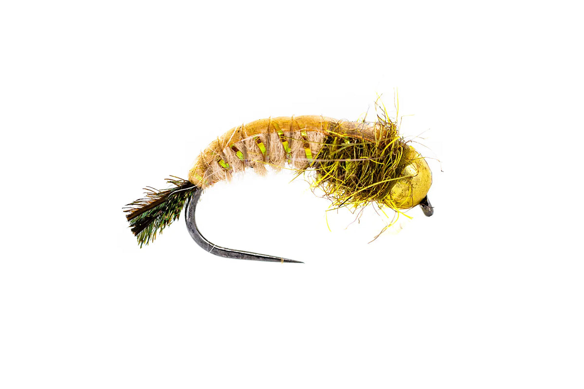 Umpqua Egan's GTI Caddis - Amber (3-Pack)