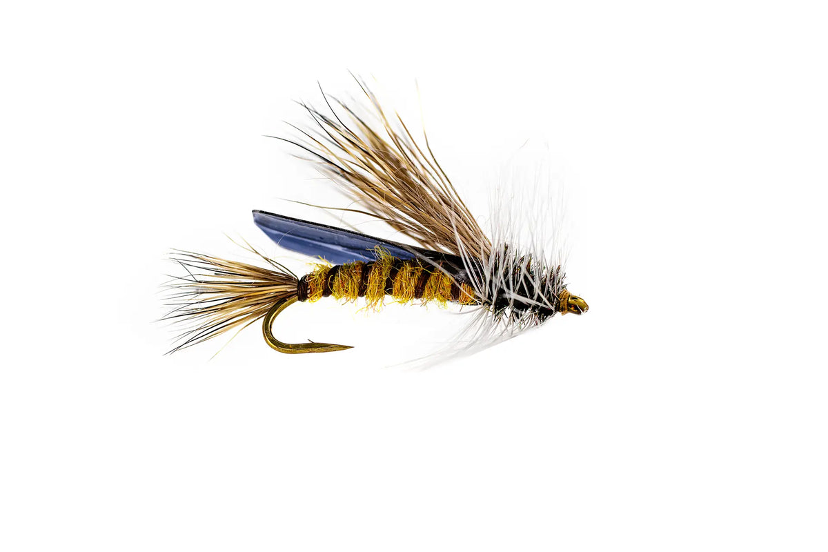 Umpqua Silvey's Little Olive Stone Skwala (3-Pack)