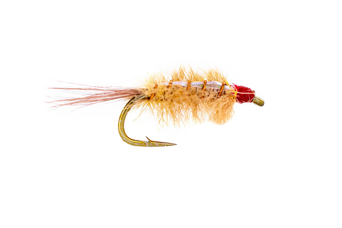 Umpqua Ray Charles - Tan (3-Pack)