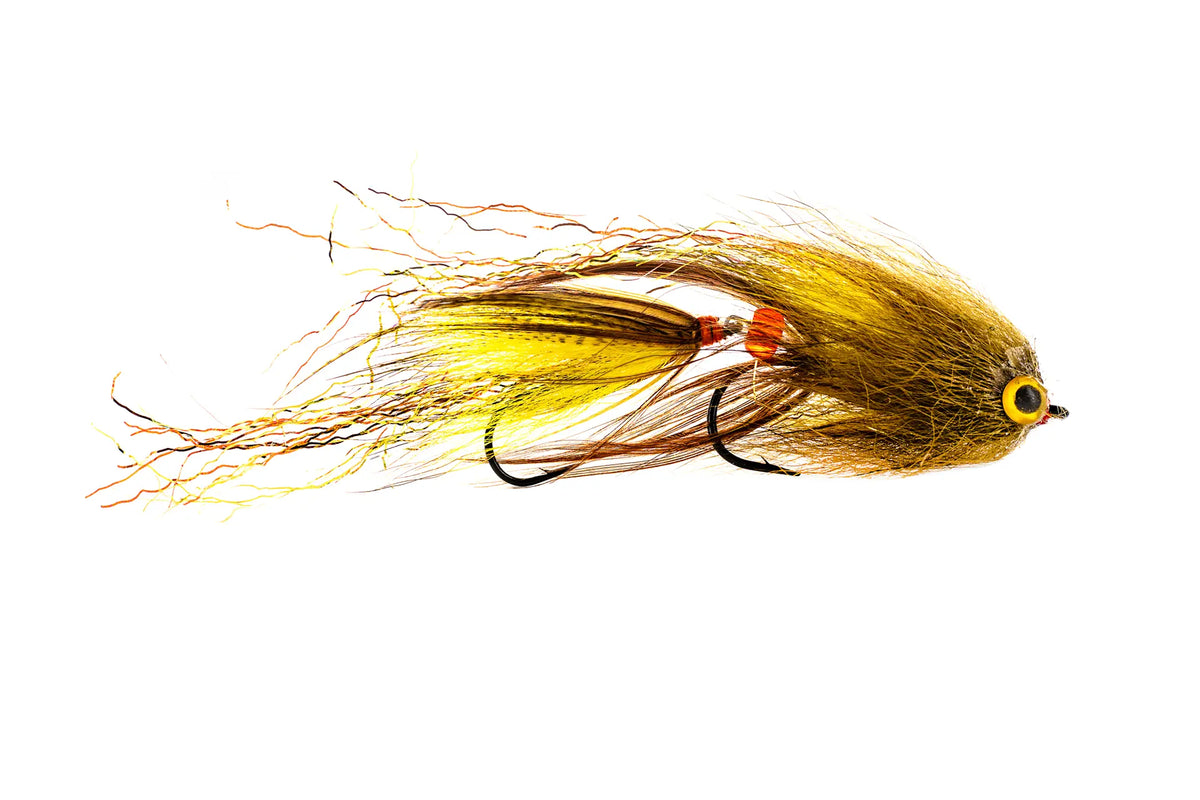 Umpqua Baby Swim Coach, Craven's - Brown/Yellow  (3-Pack)