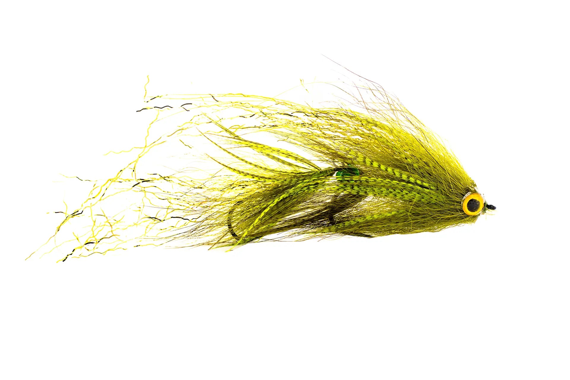 Umpqua Baby Swim Coach, Craven's - Olive  (3-Pack)